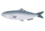 soran fish|Soran Bushi.